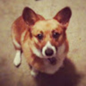 Meet your Posher, Cheerio